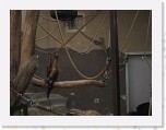 Dierentuin Burgers  Zoo 004 * 3648 x 2736 * (4.18MB)